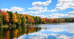Fall