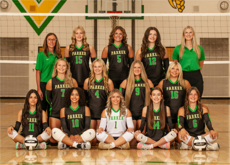 Varsity Volleyball Team Photo