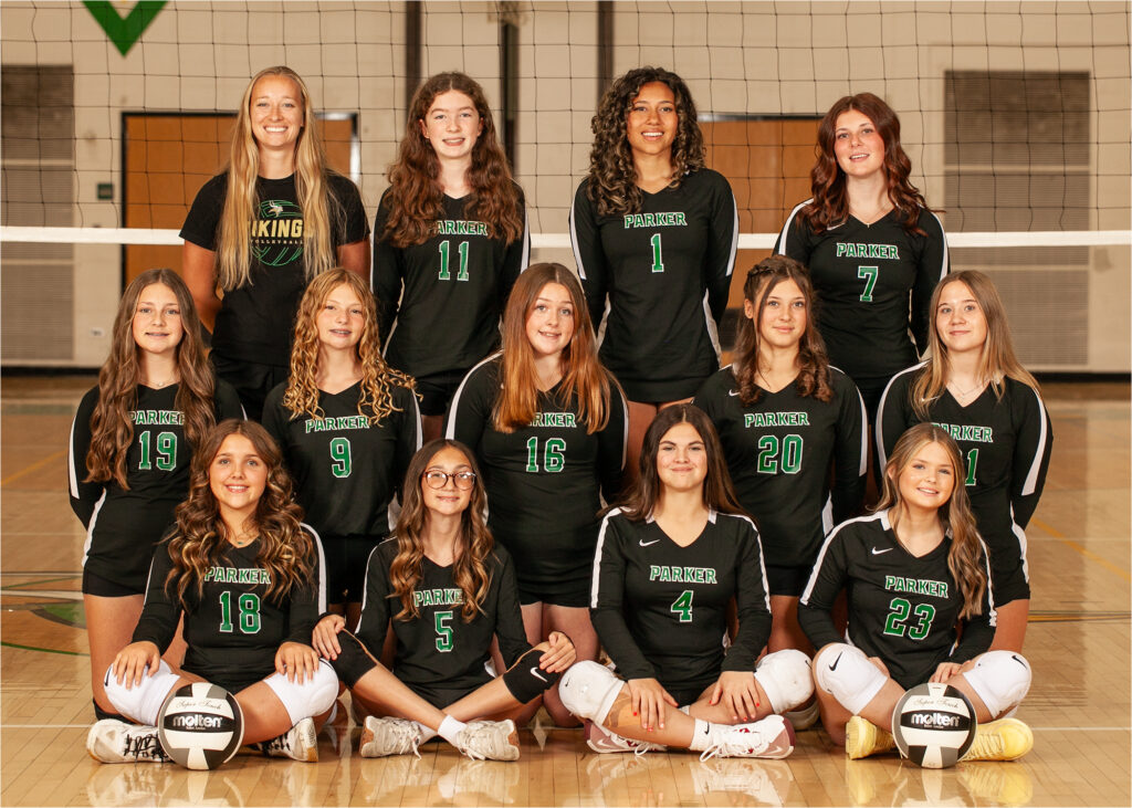 JV2 Gold Team Volleyball Photo