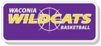 basketball logo