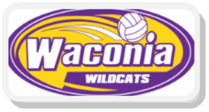 WAA VOLLEYBALL