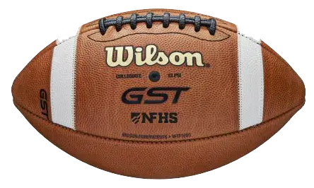 Wilson GST
