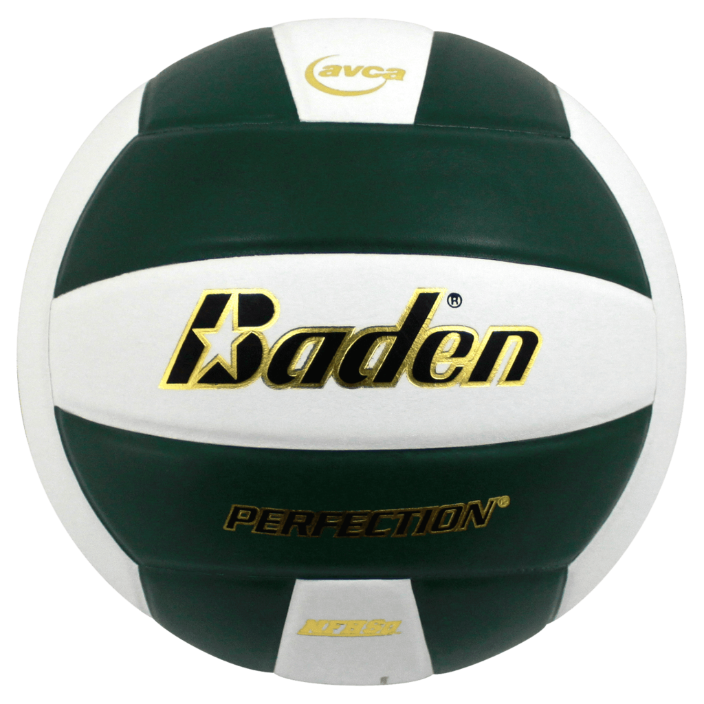 Perfection Leather Volleyball