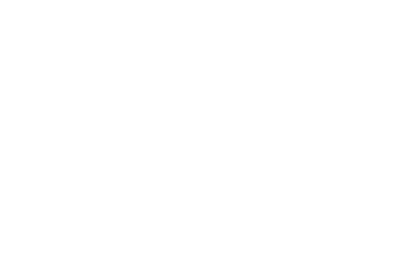 Washington Dairy New Logo