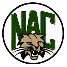 Northern Adirondack Logo