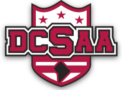 dcsaa logo