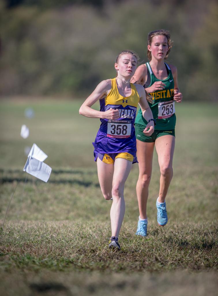 November 2, 2019: Photos from DCSAA Cross Country Championships 2019 at Kenilworth Park in Washington, D.C.. Cory Royster / Cory F. Royster Photography