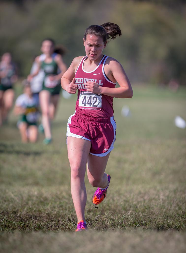 November 2, 2019: Photos from DCSAA Cross Country Championships 2019 at Kenilworth Park in Washington, D.C.. Cory Royster / Cory F. Royster Photography