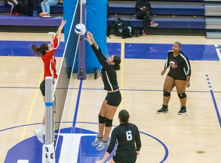 November 8, 2019: Photos from DCSAA Volleyball All-Star Game 2019 at Trinity University in Washington, D.C.. Cory Royster / Cory F. Royster Photography