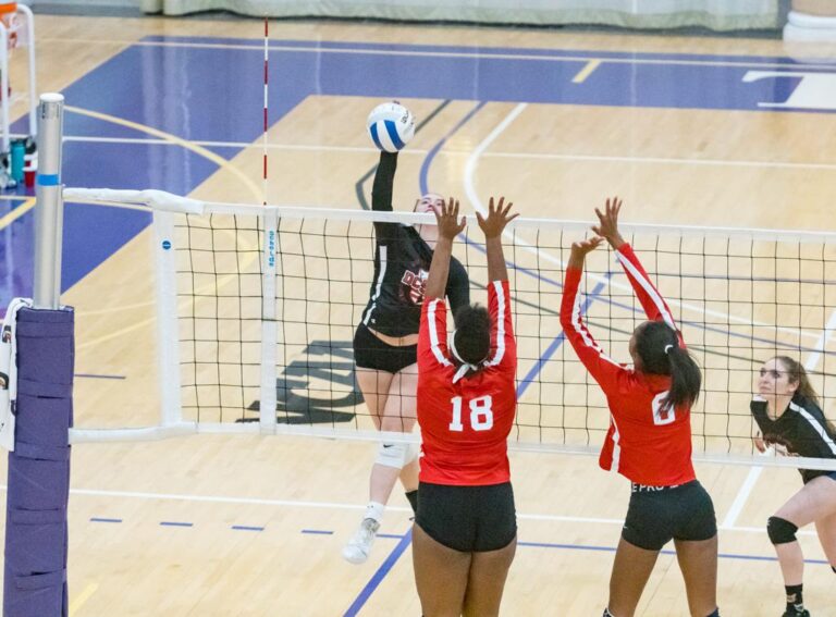 November 8, 2019: Photos from DCSAA Volleyball All-Star Game 2019 at Trinity University in Washington, D.C.. Cory Royster / Cory F. Royster Photography