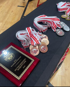 Girls Wrestling Medals