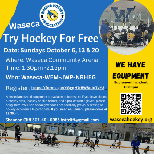 Try Hockey for Free, go to wasecahockey.org