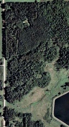 School Forest Site, 2008