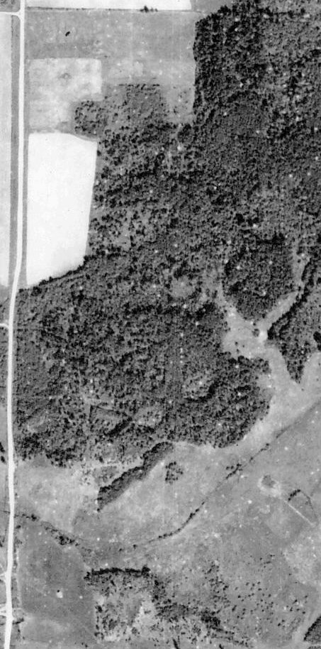 School Forest Site, 1939