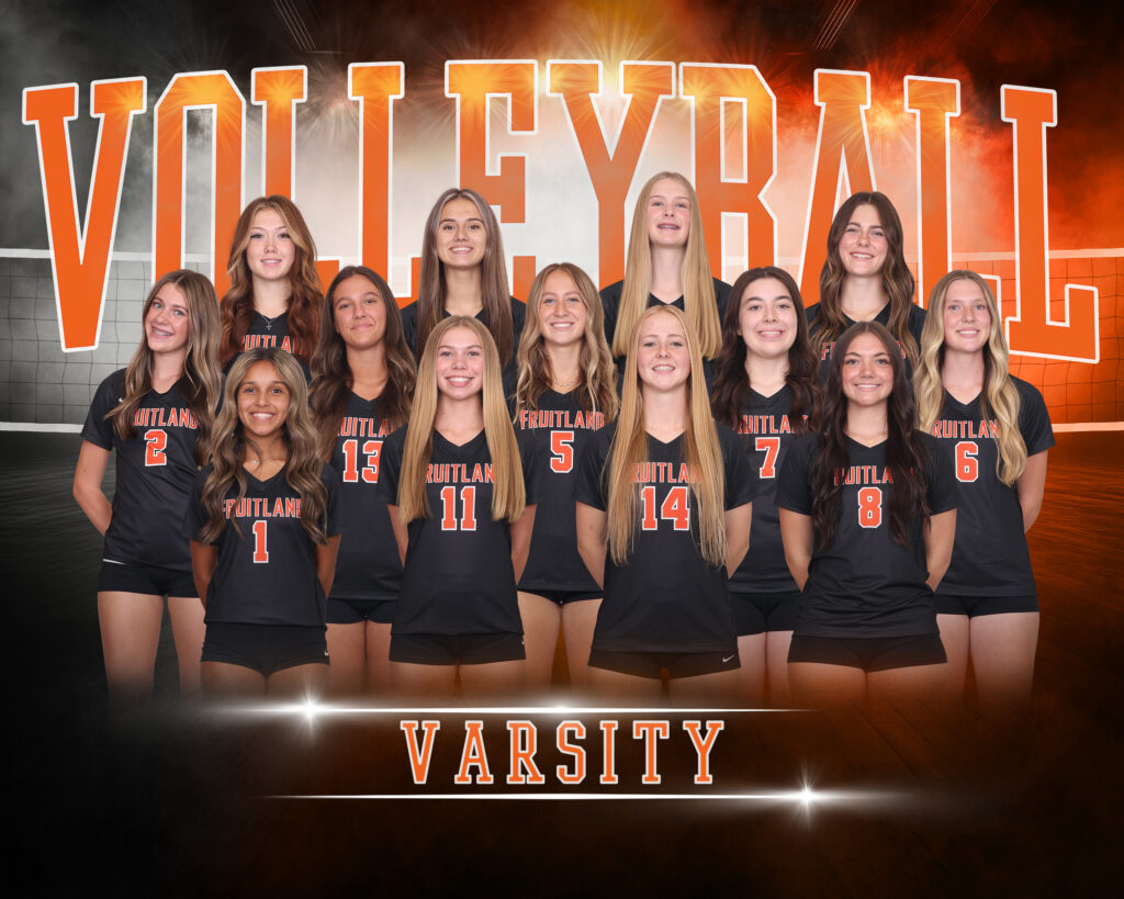 Volleyball Picture
