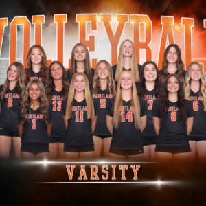 Volleyball Picture